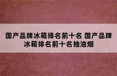 国产品牌冰箱排名前十名 国产品牌冰箱排名前十名抽油烟